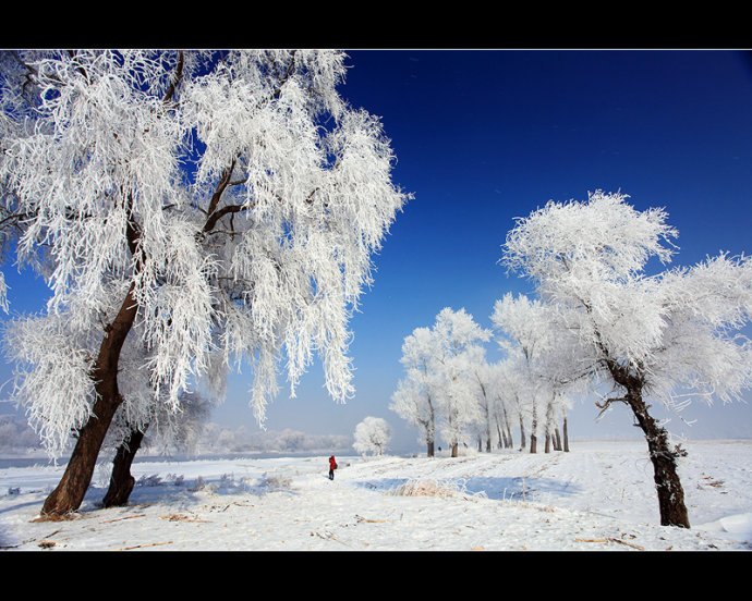 春节来了,去吉林吧!边看雪景边过年!