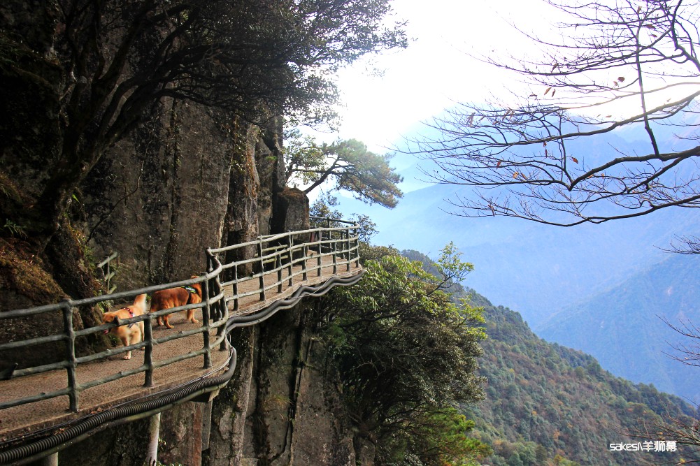 羊狮幕人口_羊狮幕自然风景区(2)