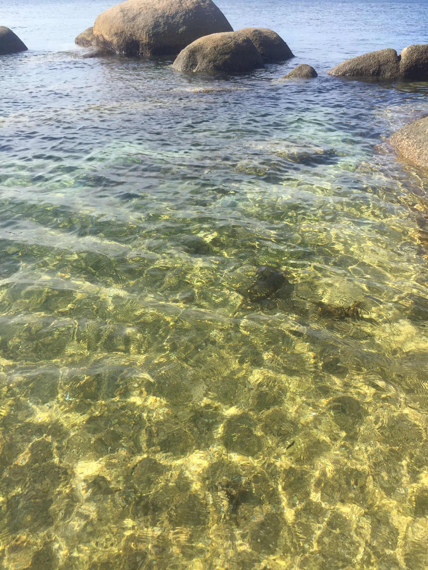 说走就走的三亚之旅,后海村,情人湾赶海,休闲之旅