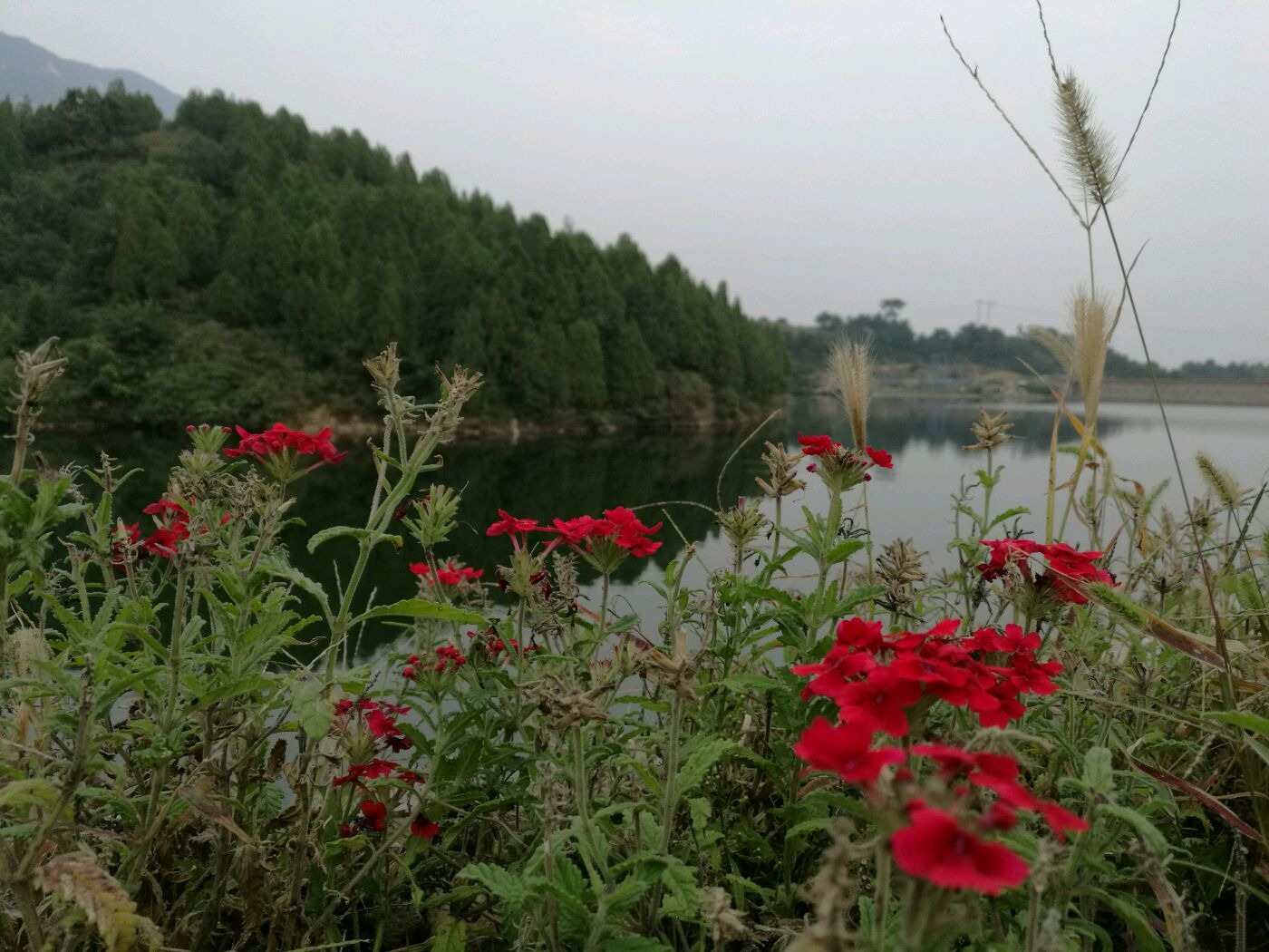 蓟县人口碑_蓟县盘山图片