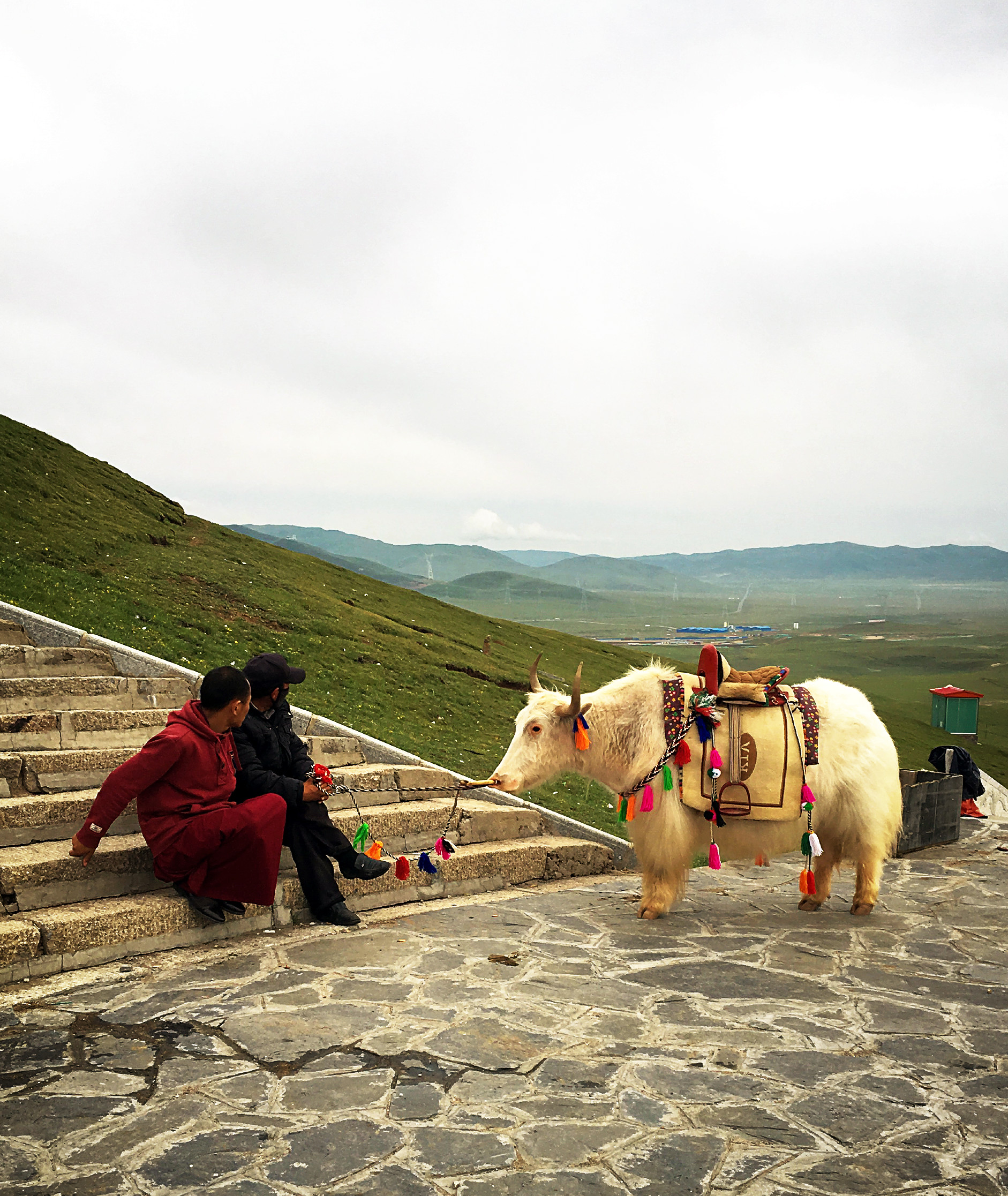 大山买人口_大山风景图片(3)