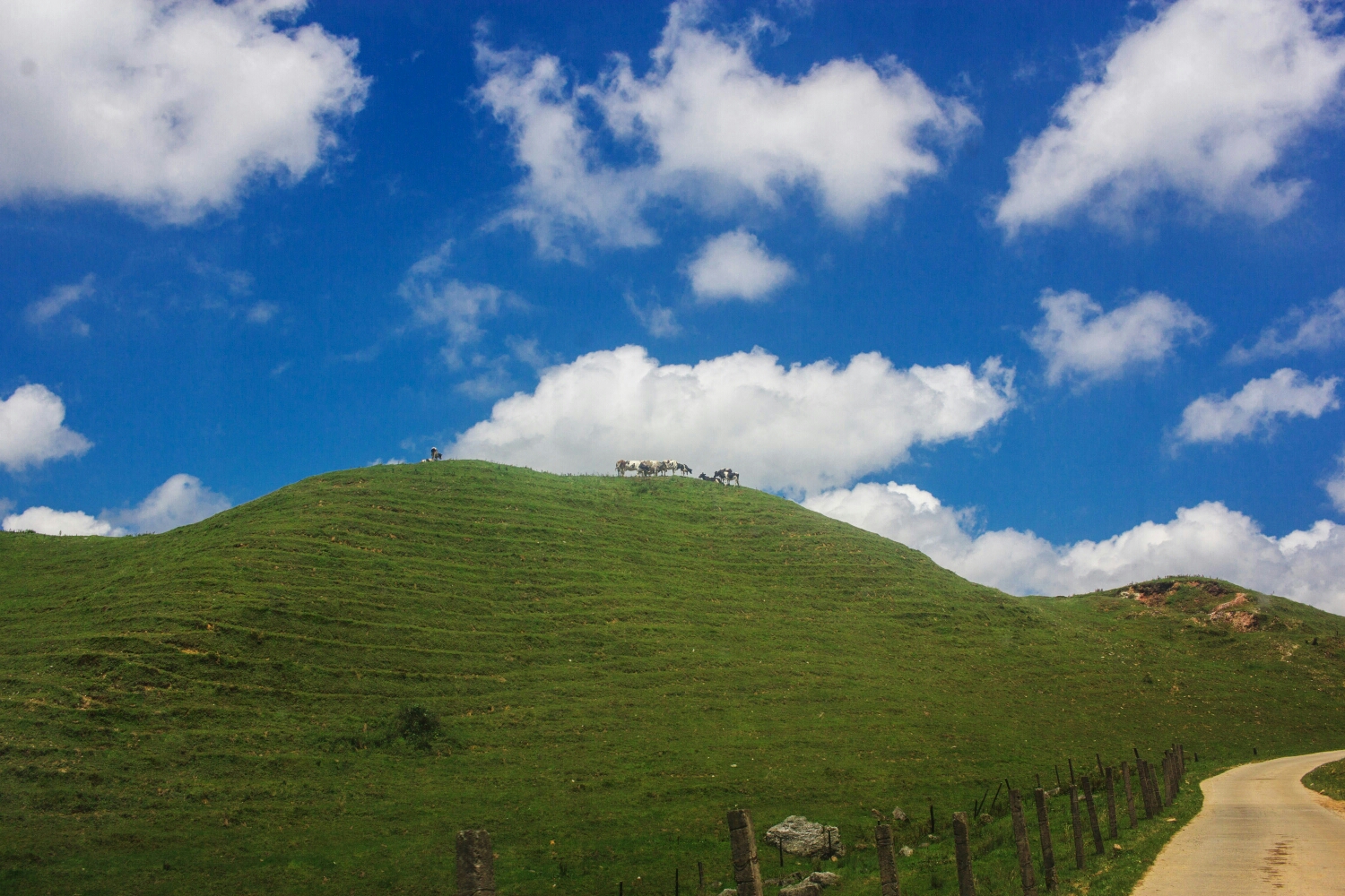 邵阳城步南山牧场「南山大草原」自由行