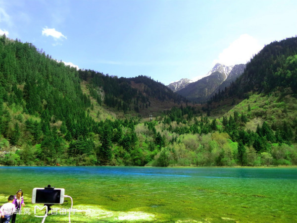 为什么叫火花海 wKgBZ1kEs7yANxFzAAJUhTjNEyQ24.jpeg?imageView2%2F2%2Fw%2F600%2Fh%2F600%2Fq%2F90