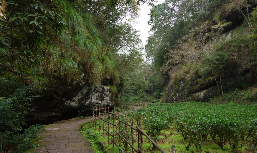 岩骨花香漫游道