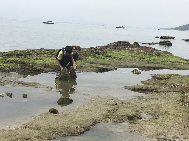 惠州十里银滩拍婚纱照_惠州十里银滩图片