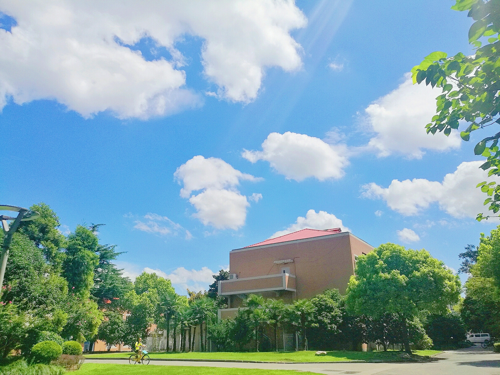 复旦大学