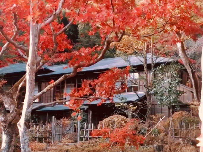 你压到我的触角了!的游记 - 马蜂窝
