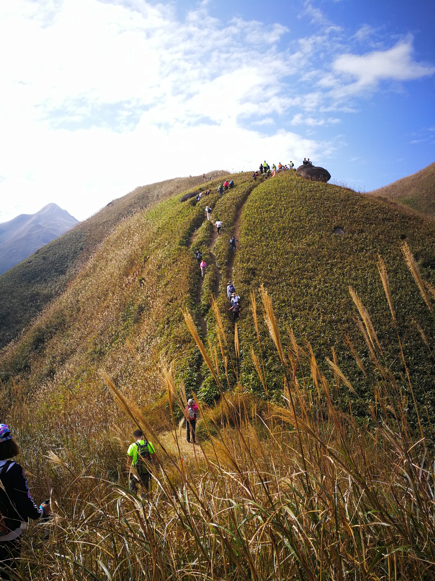 秋季惠州大南山精华路线赏金色芦苇