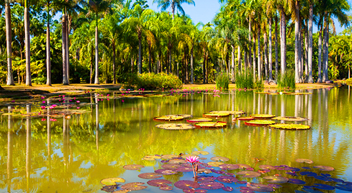 西双版纳2021gdp_2021年西双版纳泼水节