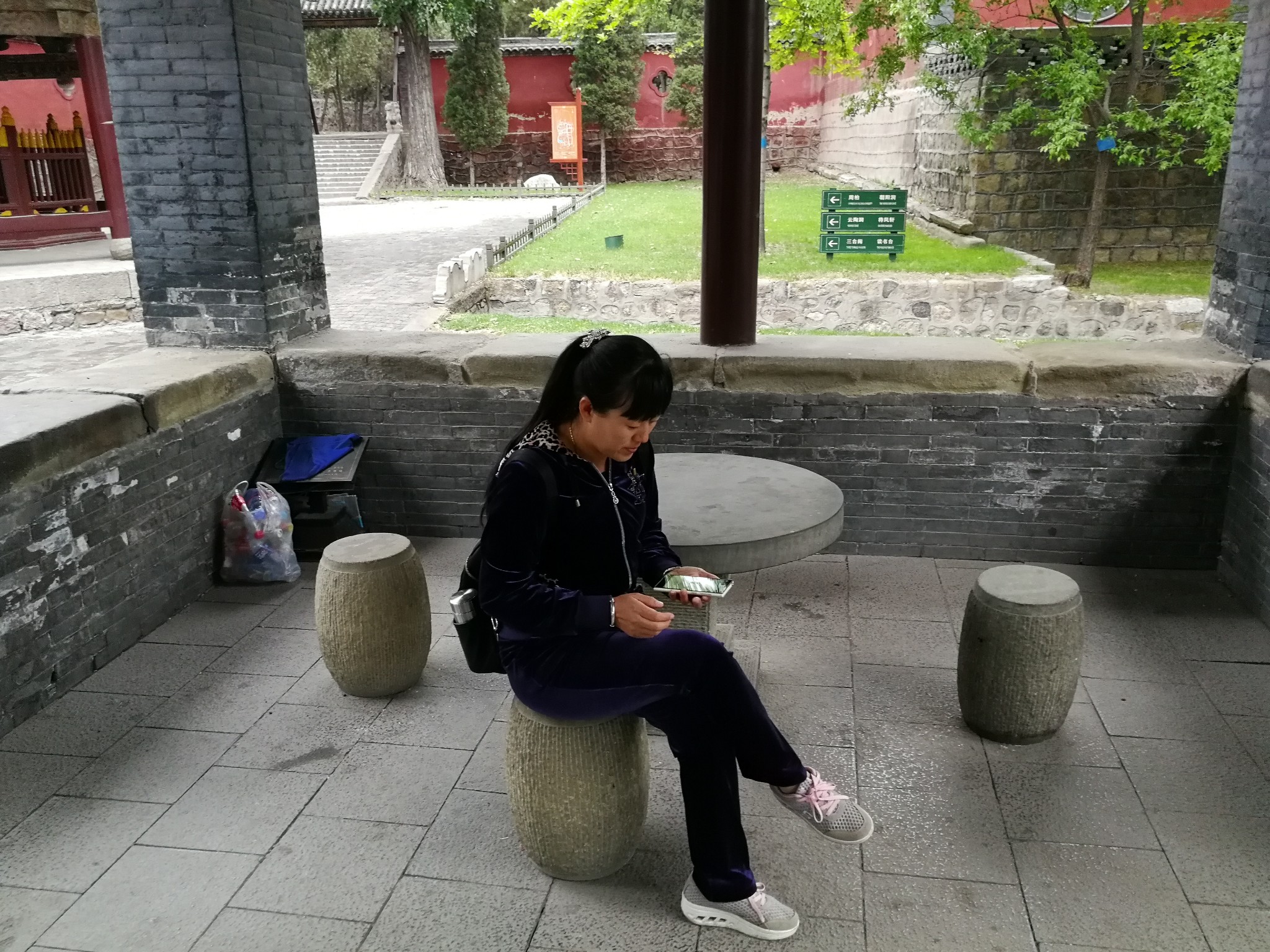 柏什么树成语_成语故事图片(3)