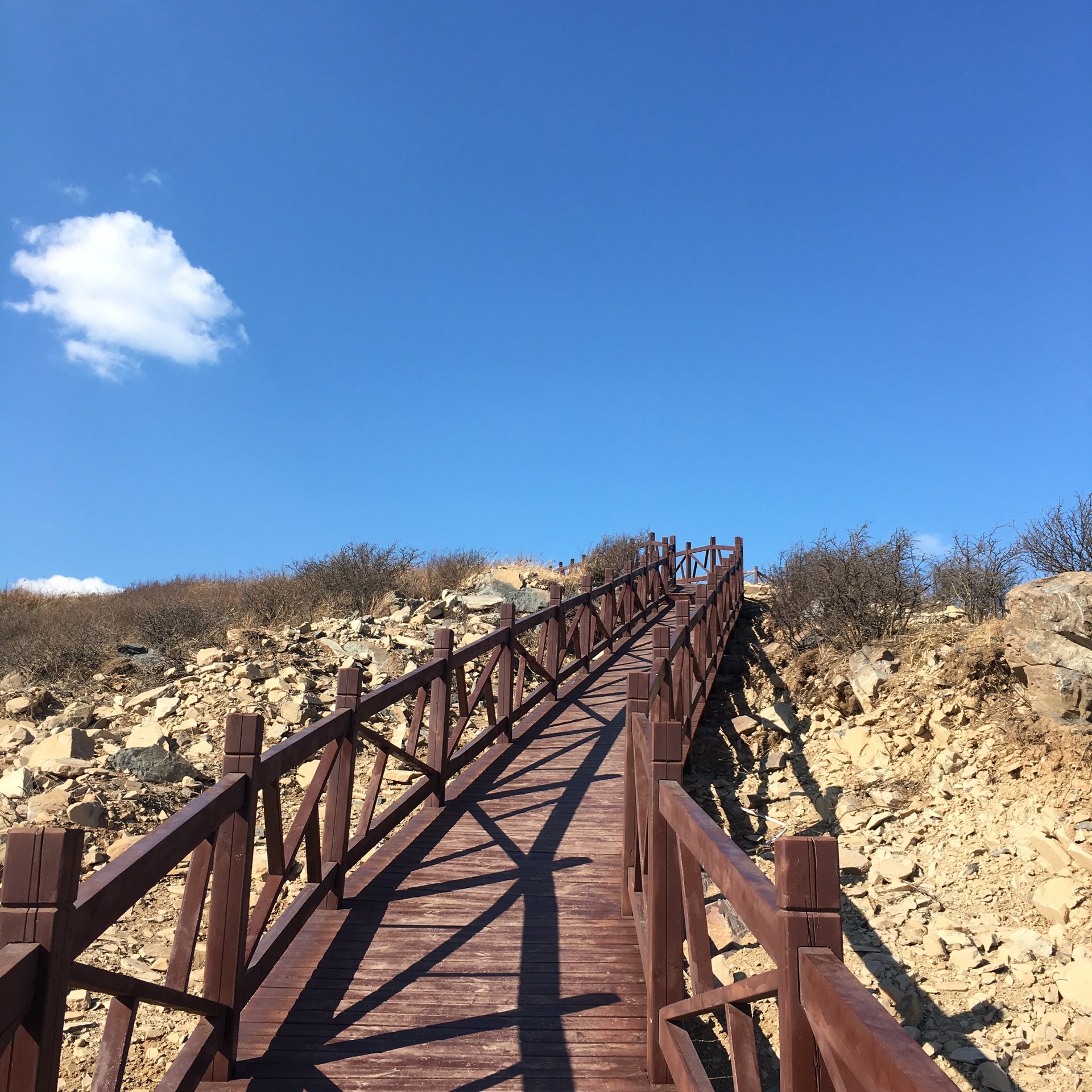 wKgBZ1iyJoGAQiSKABAAx65abqw97.jpeg?imageView2%2F2%2Fw%2F600%2Fh%2F600%2Fq%2F90