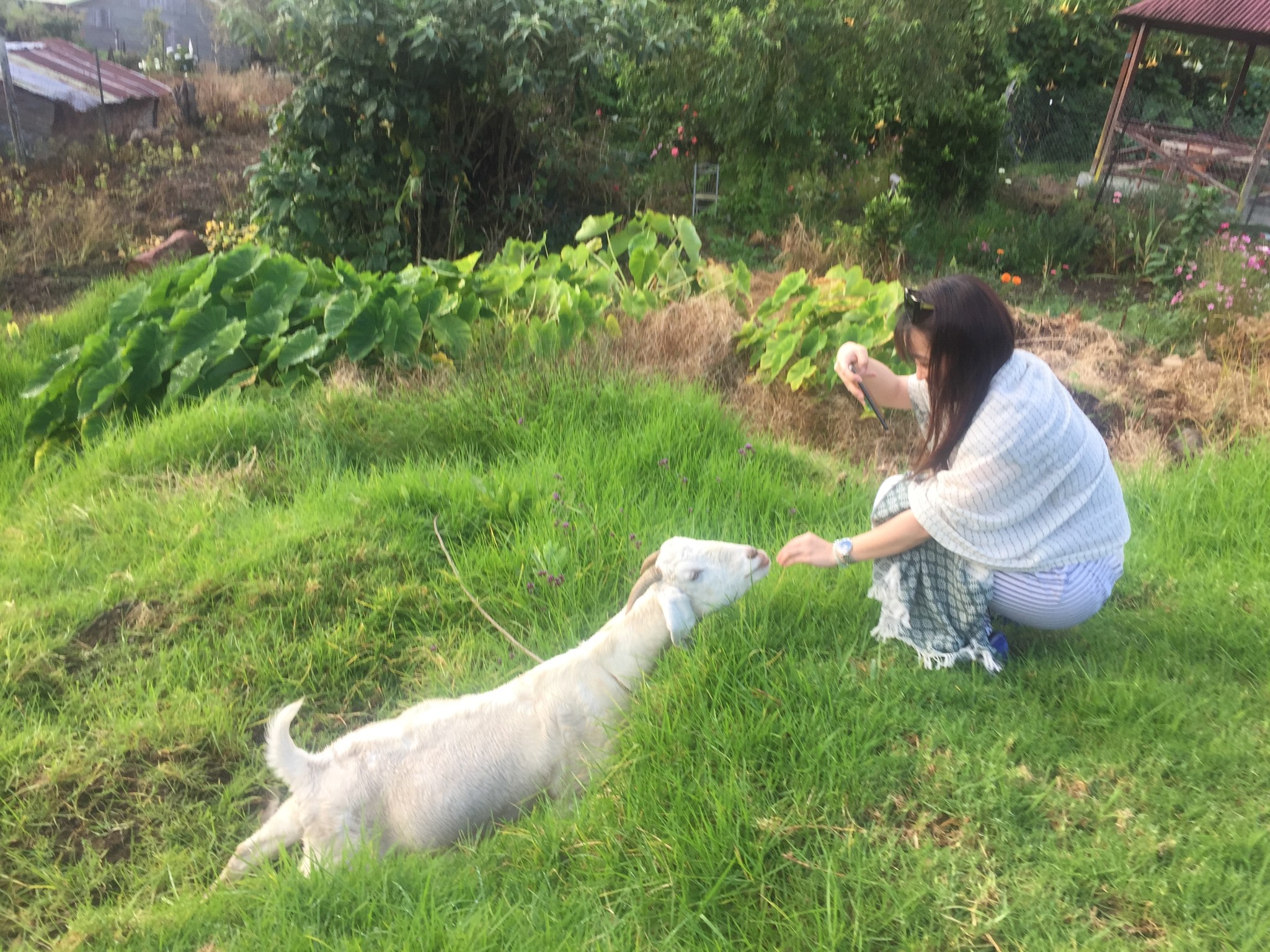 世界各国gdp排名_留尼汪岛人均gdp(3)