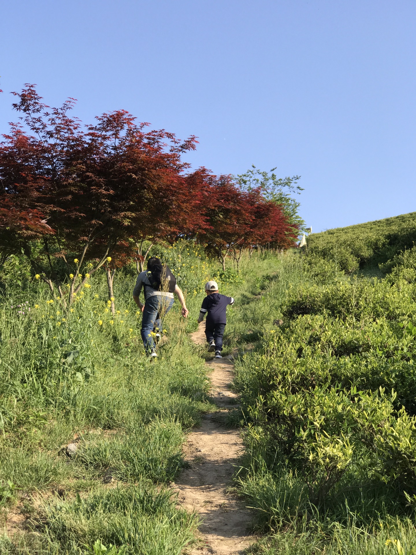 溧阳gdp2017_溧阳博物馆(3)