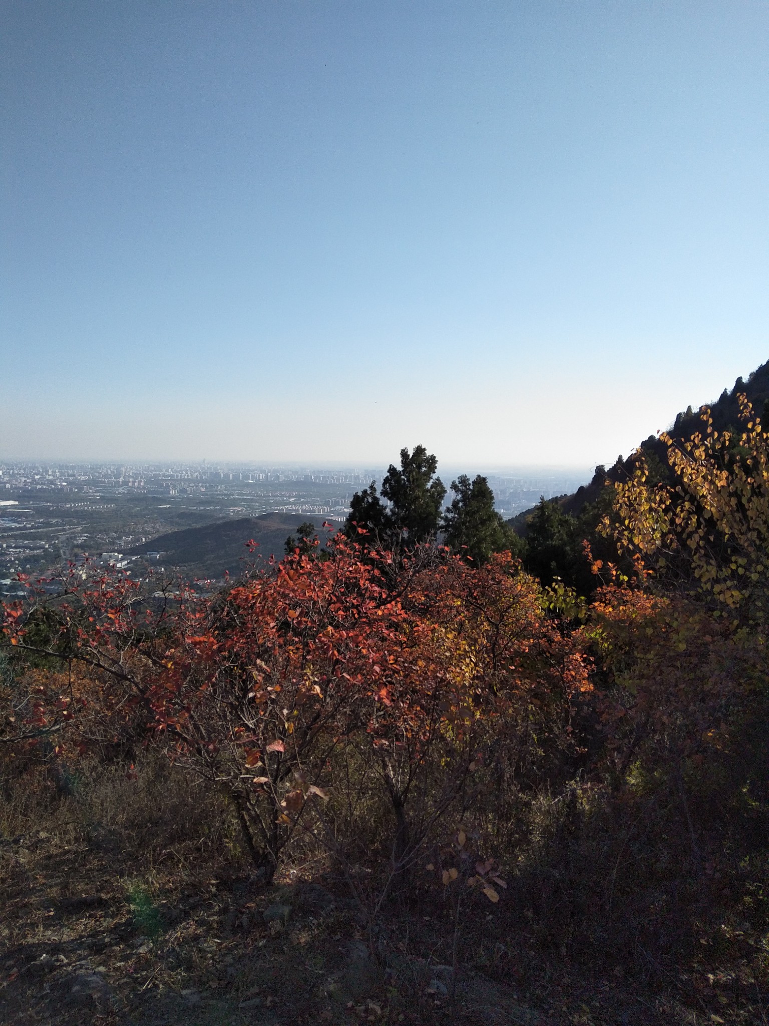 怎么搭香山_香山红叶简笔画怎么画(2)