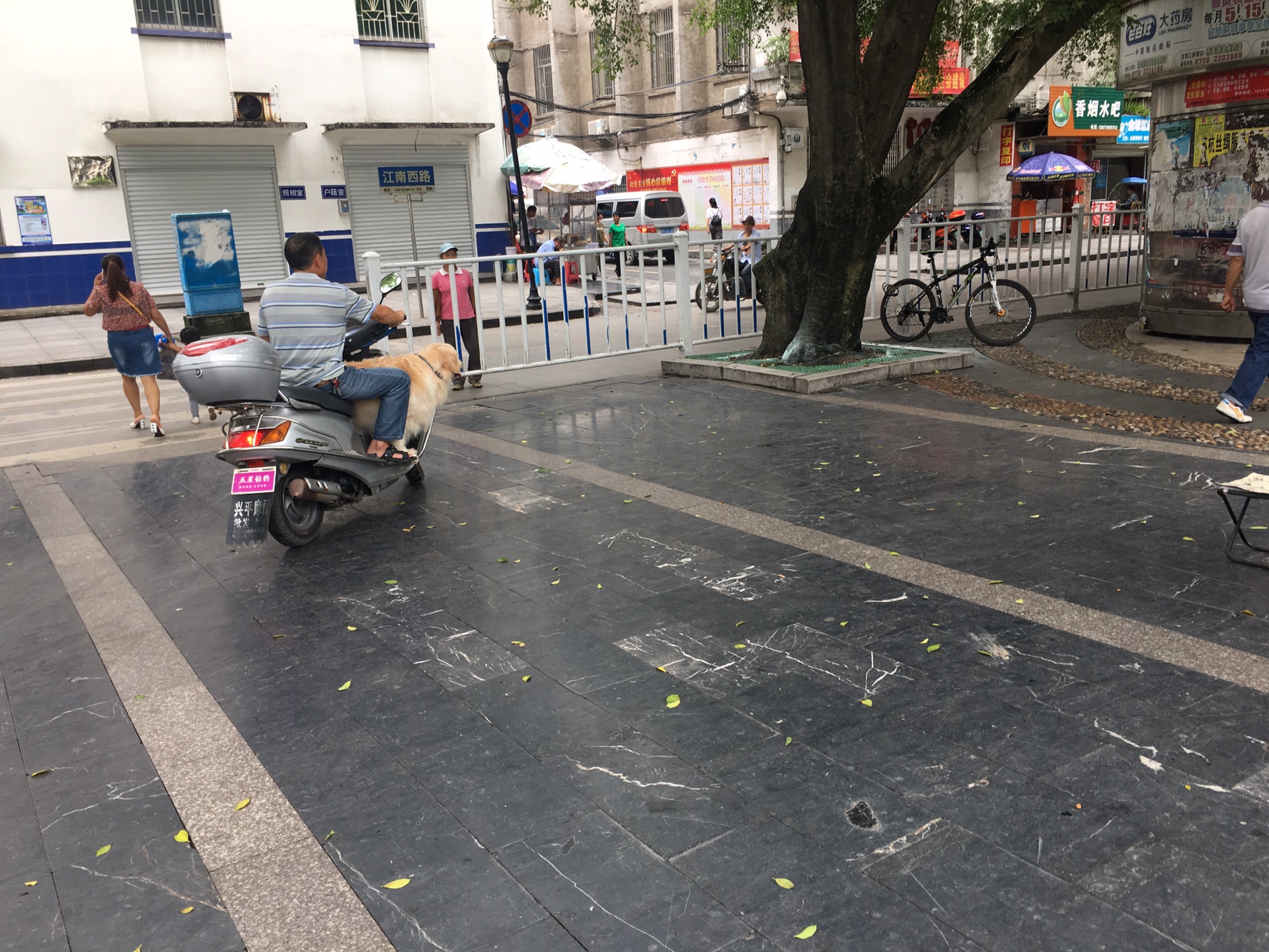 金城江有多少人口_金城江公园