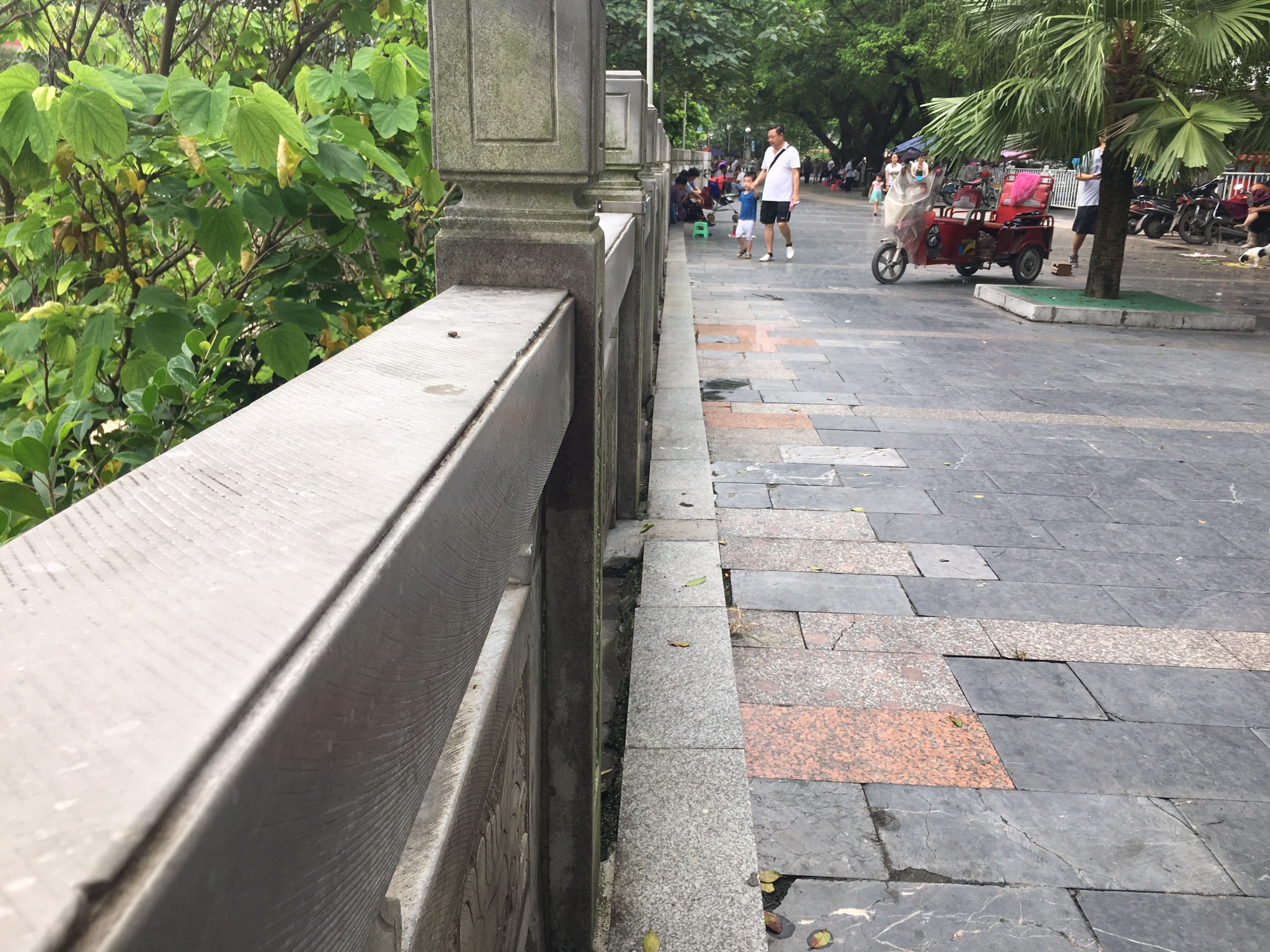 金城江有多少人口_金城江公园