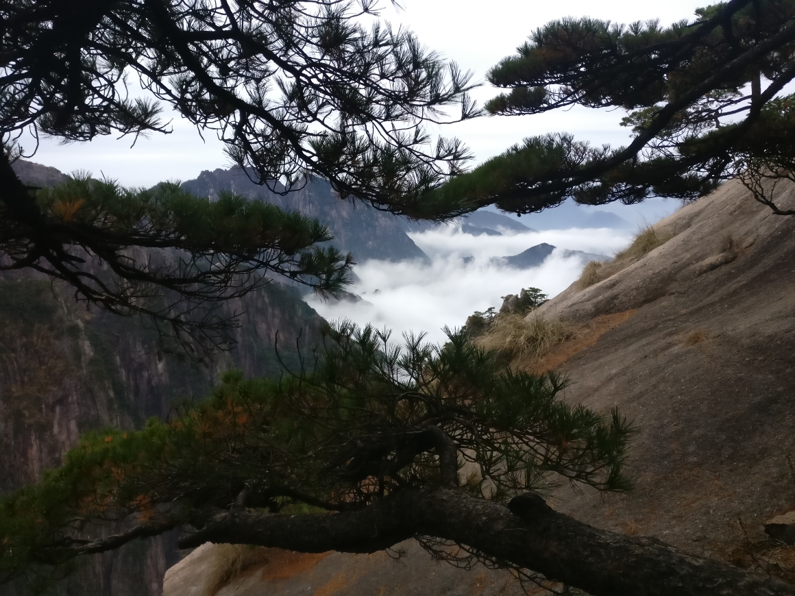 黄山有多少人口_让人 归来不看岳 的黄山,给你好看 附三日环线安排