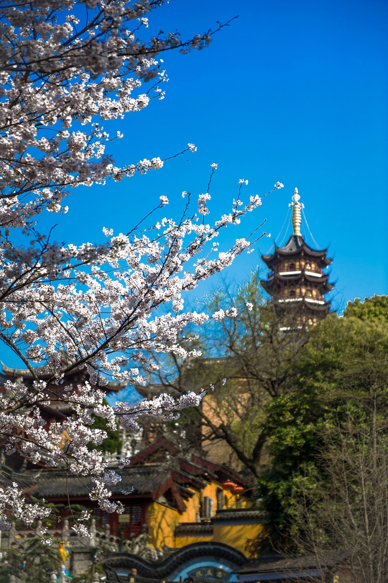 游遍南京之一 鸡鸣寺