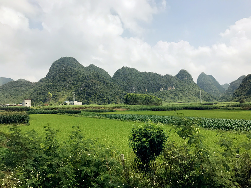 靖西市有多少人口_靖西强化边境口岸疫情防控 筑牢 防线 闭环管理(2)