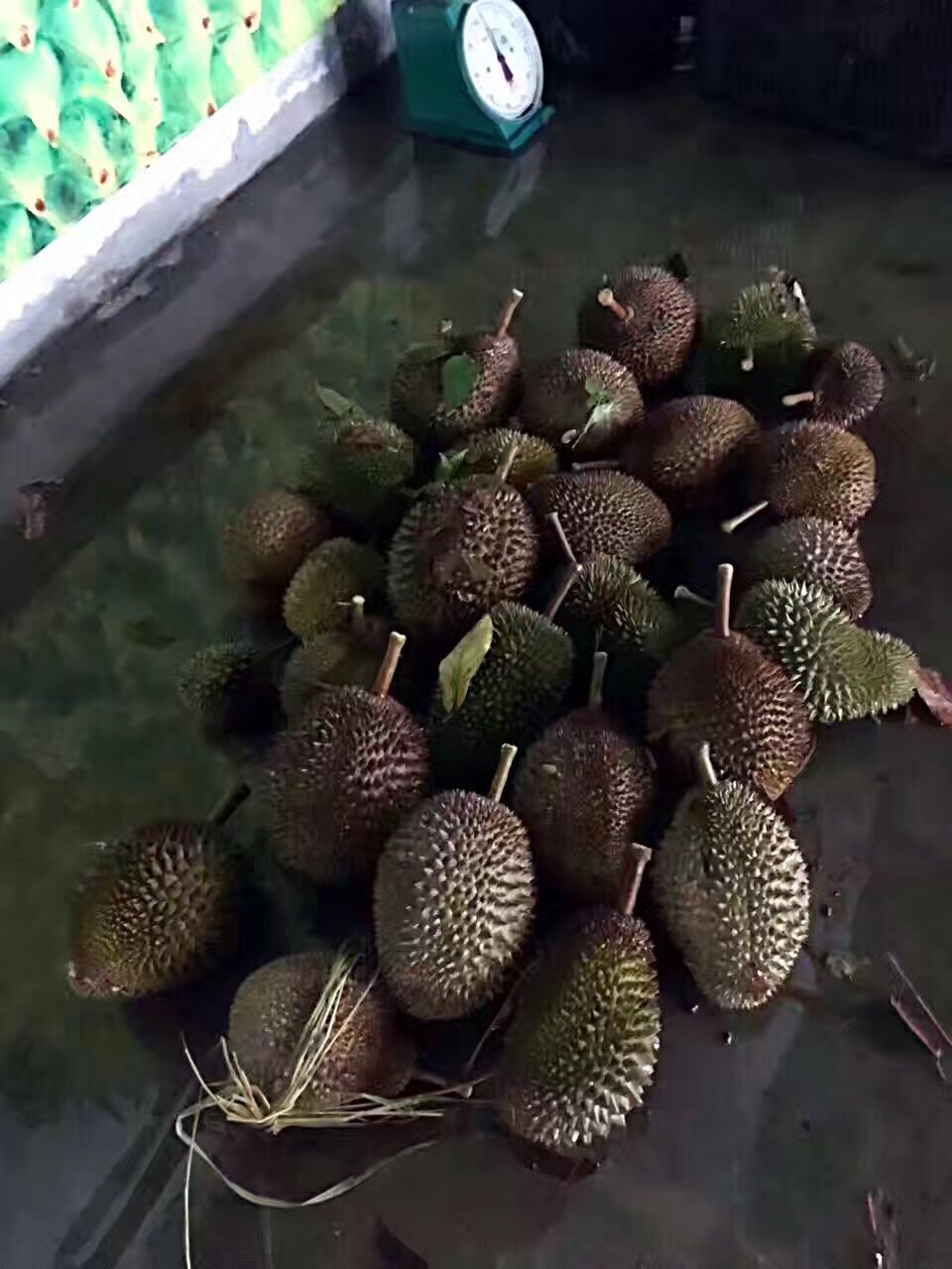 wKgBZ1mtHuOAGKKUAANF9erpAnc38.jpeg?imageView2%2F2%2Fw%2F600%2Fh%2F600%2Fq%2F90