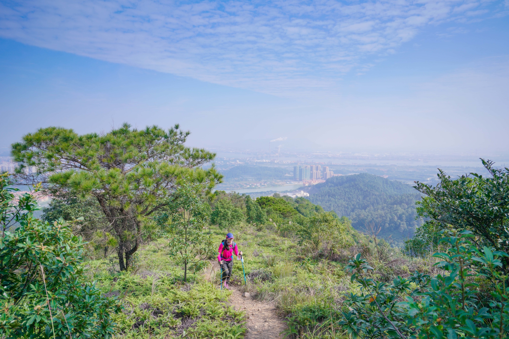 佛山高明茶山,只为拍照不为鸡之旅