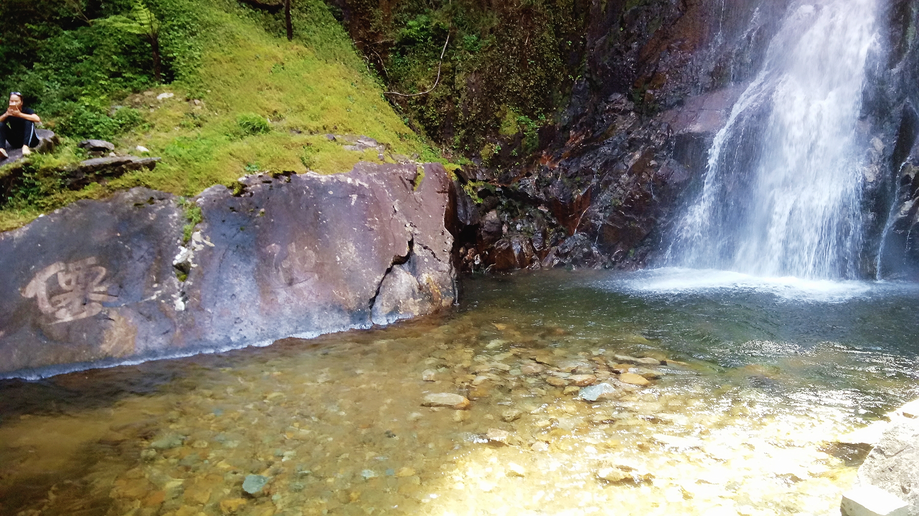 茶山经济总量_茶山竹海