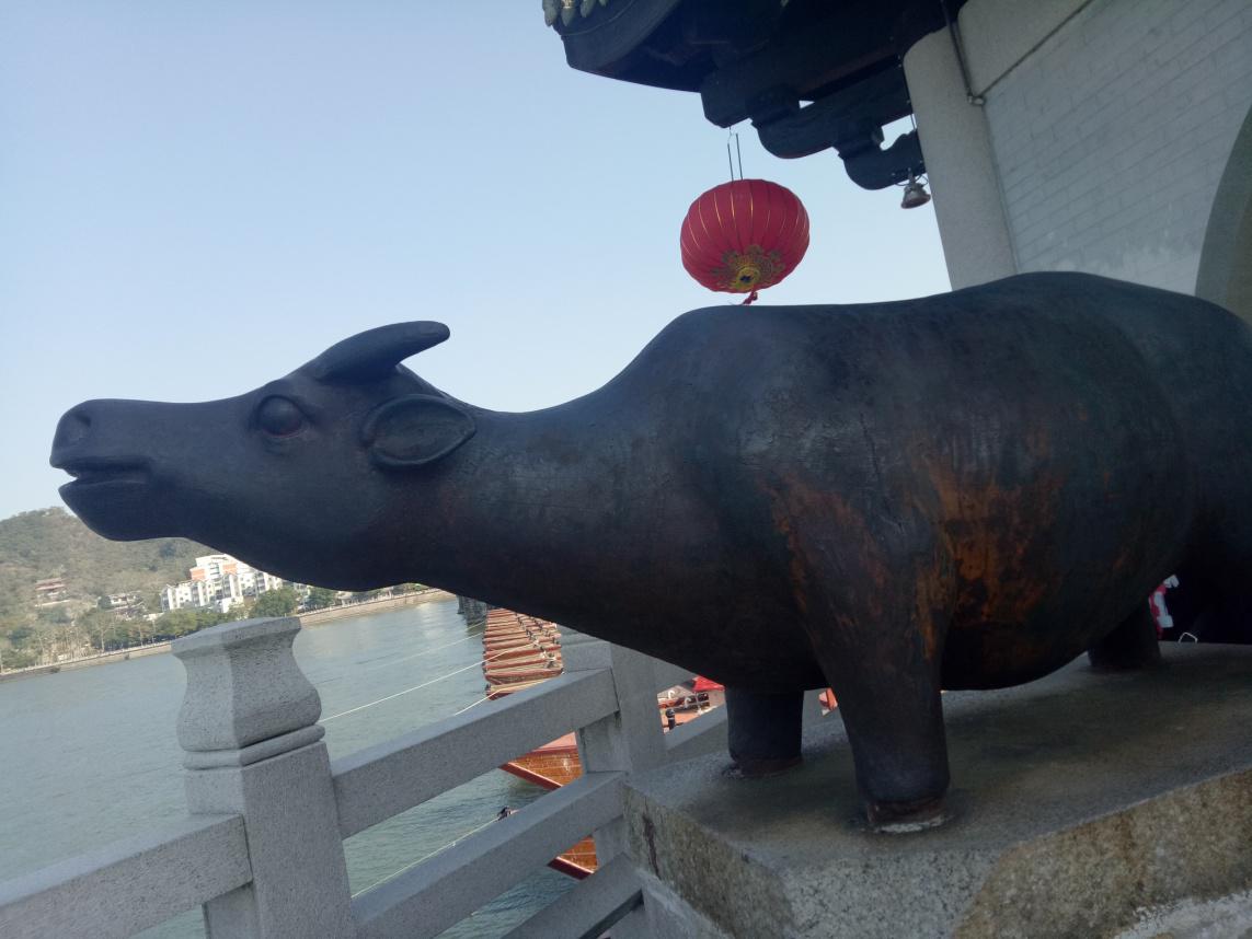 两只牛一个鸭子一堵墙猜成语_看图猜成语(3)