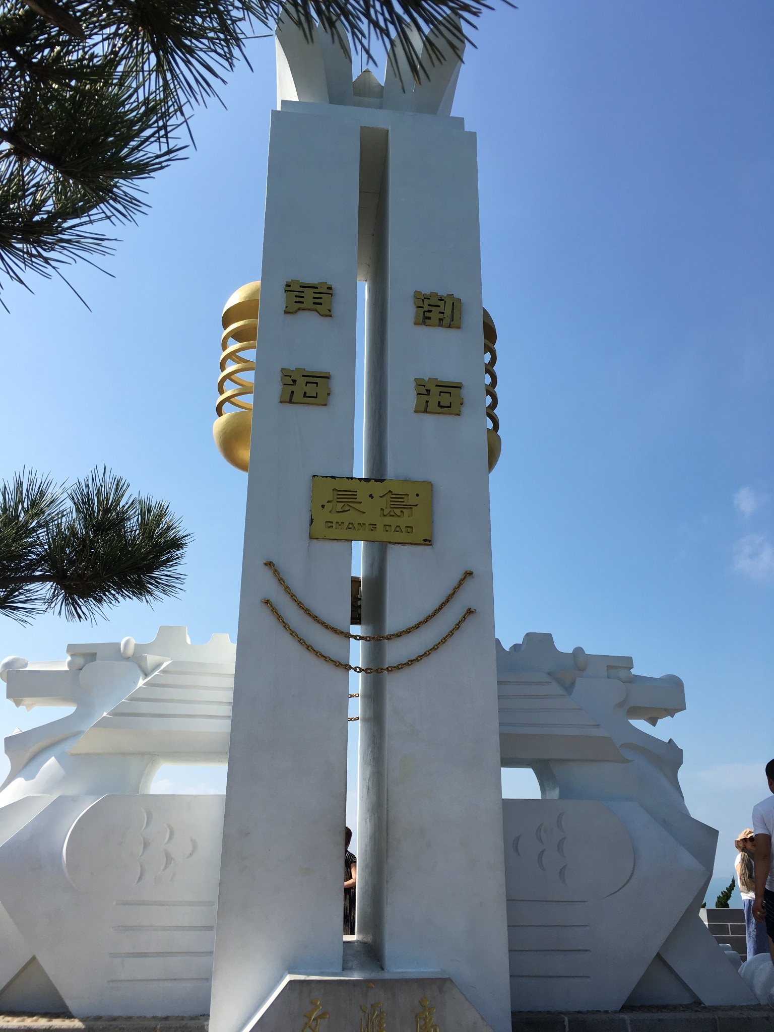青岛回民人口_青岛回民金衣竹(3)