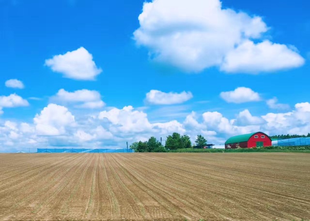 北海道星野度假村|夏天的味道