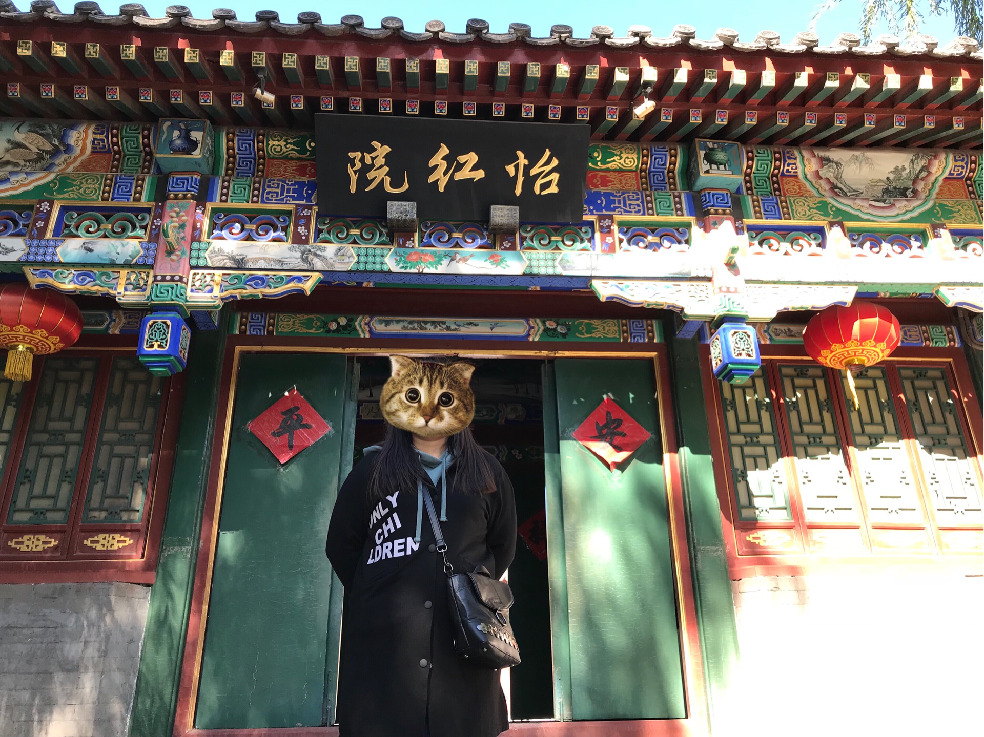 怡红院人口_人口普查(3)