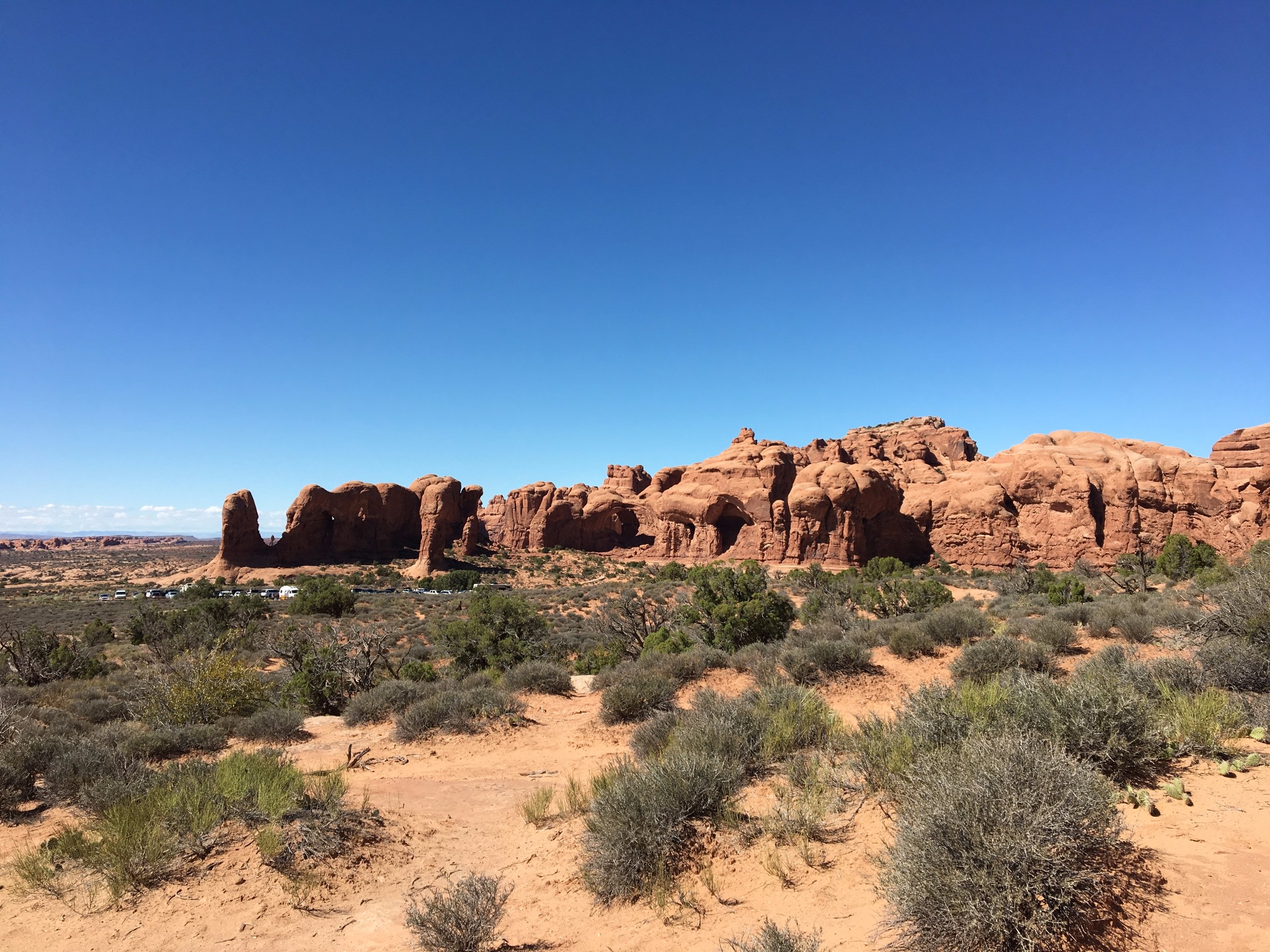 枸杞每天吃多少_人均每天用多少水(3)