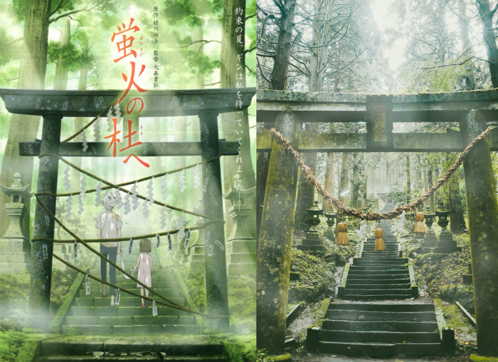 日本游记,日本自助游游记,日本旅游攻略游记 - 蚂蜂窝