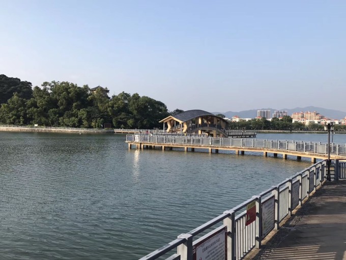 碧莲平湖--鼎湖碧莲湖公园图片