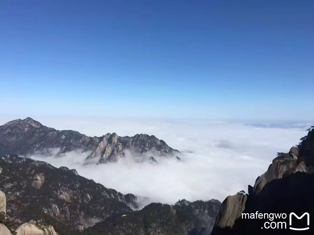 wKgBZ1lWAtWAXDF-AAY6gcOyxyw00.jpeg?imageView2%2F2%2Fw%2F600%2Fh%2F600%2Fq%2F90