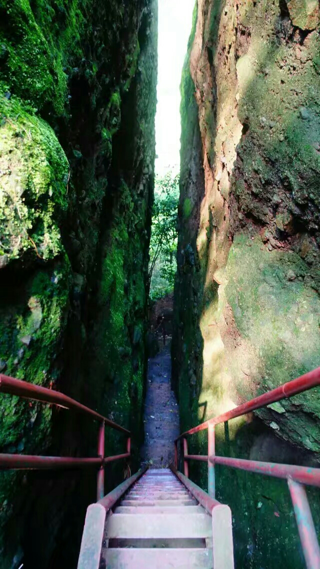 wKgBZ1l5XgeAKcmCAAhMhxqLUhc90.jpeg?imageView2%2F2%2Fw%2F600%2Fh%2F600%2Fq%2F90