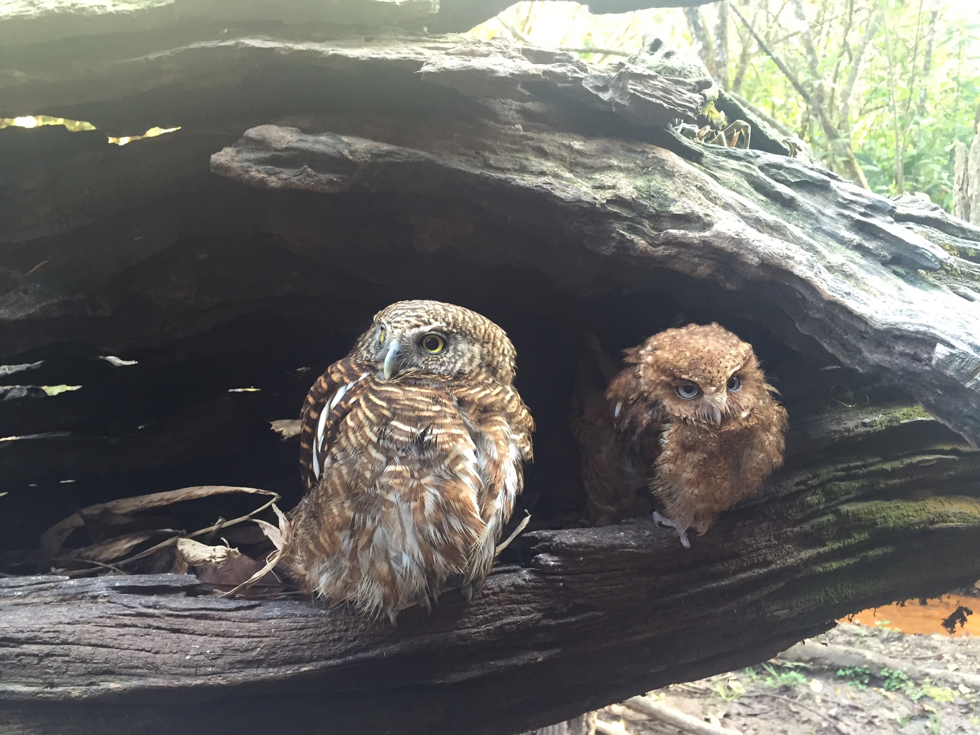 华西村人均收入_人均6000元一位