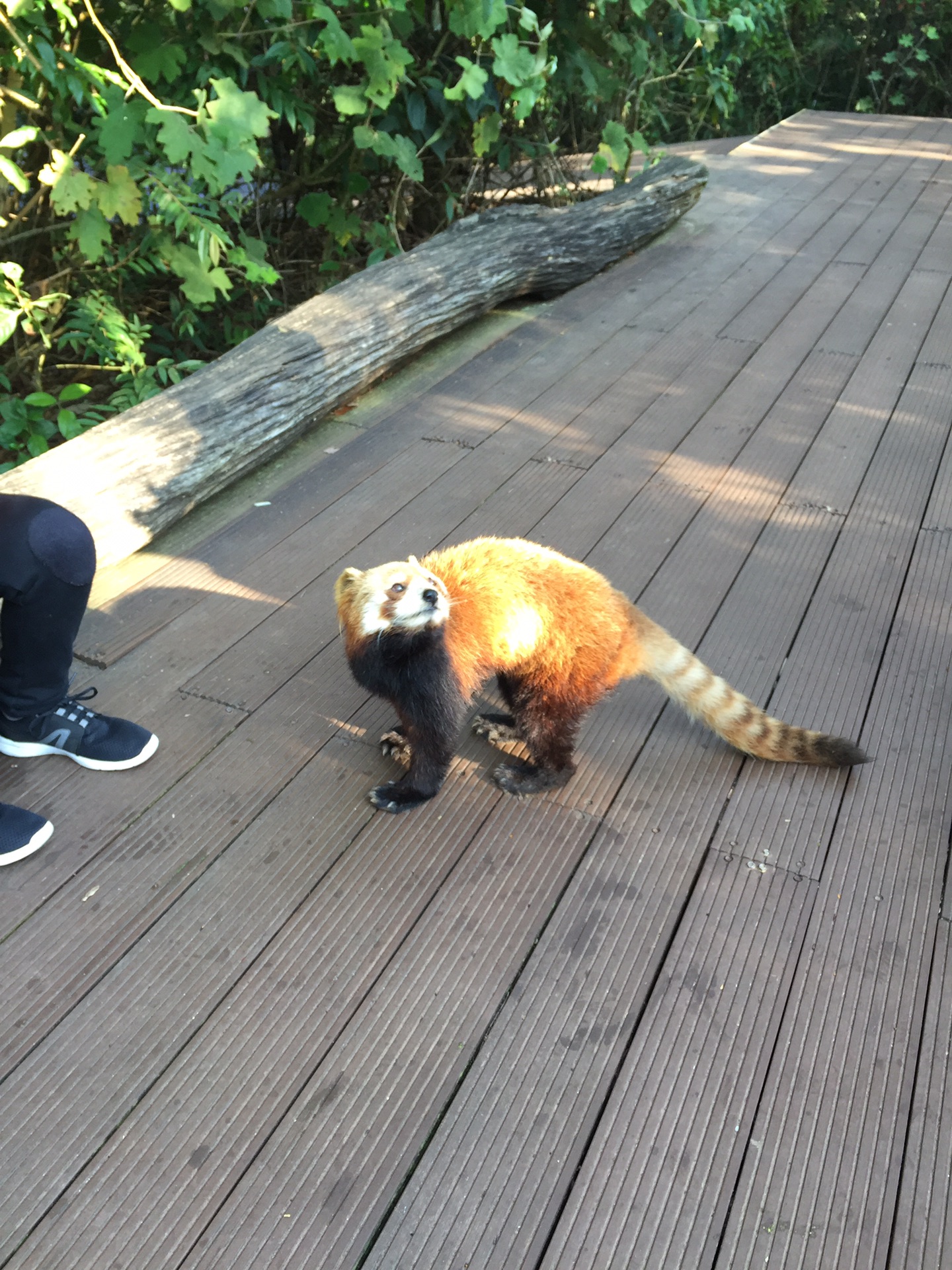 华西村人均收入_人均6000元一位