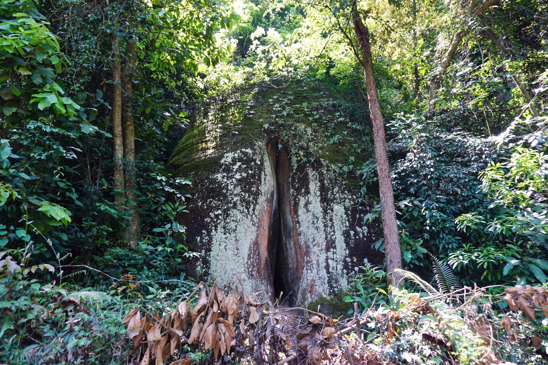 翔龙湖景区(阴元石) 跟着指示牌下山后往阴元石景区走,看完阴元石