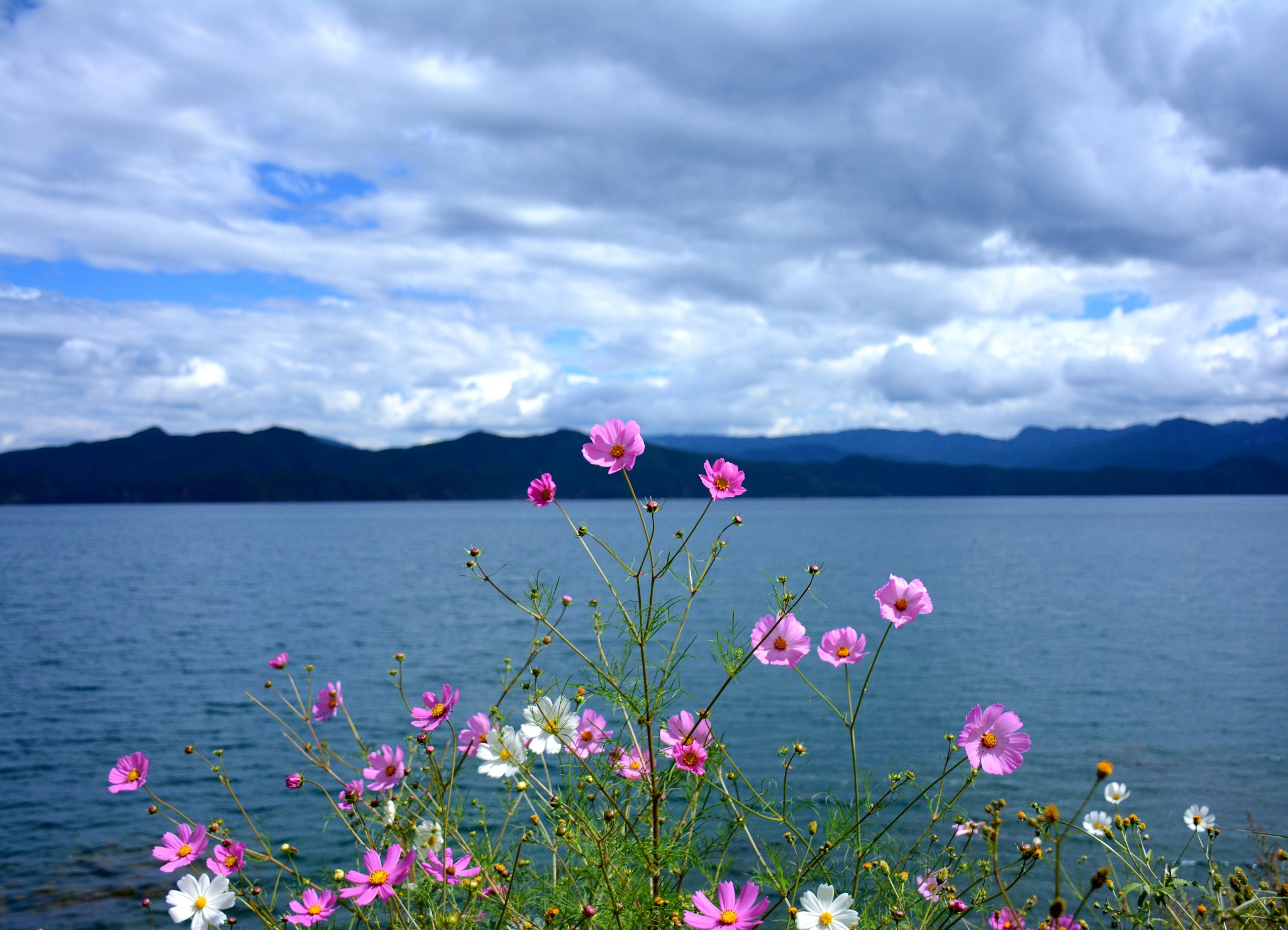 云南,九月让我安静的看风景,丽江,泸沽湖,香格里拉