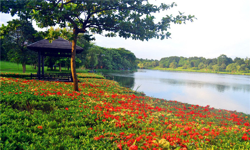 东莞松山湖骑行纯玩一日游东莞新八景之首松湖烟雨