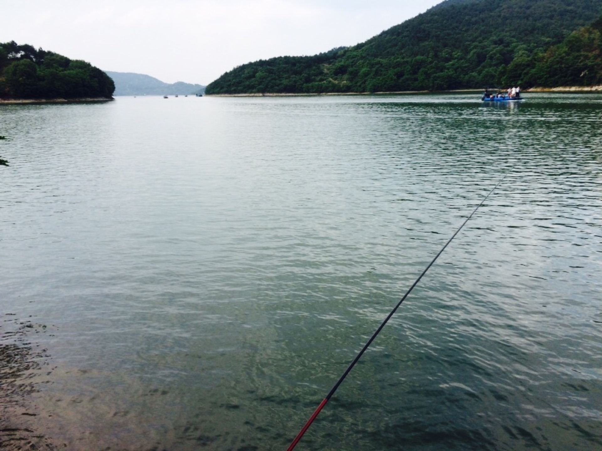 踏青上林湖,杨梅没熟能干嘛