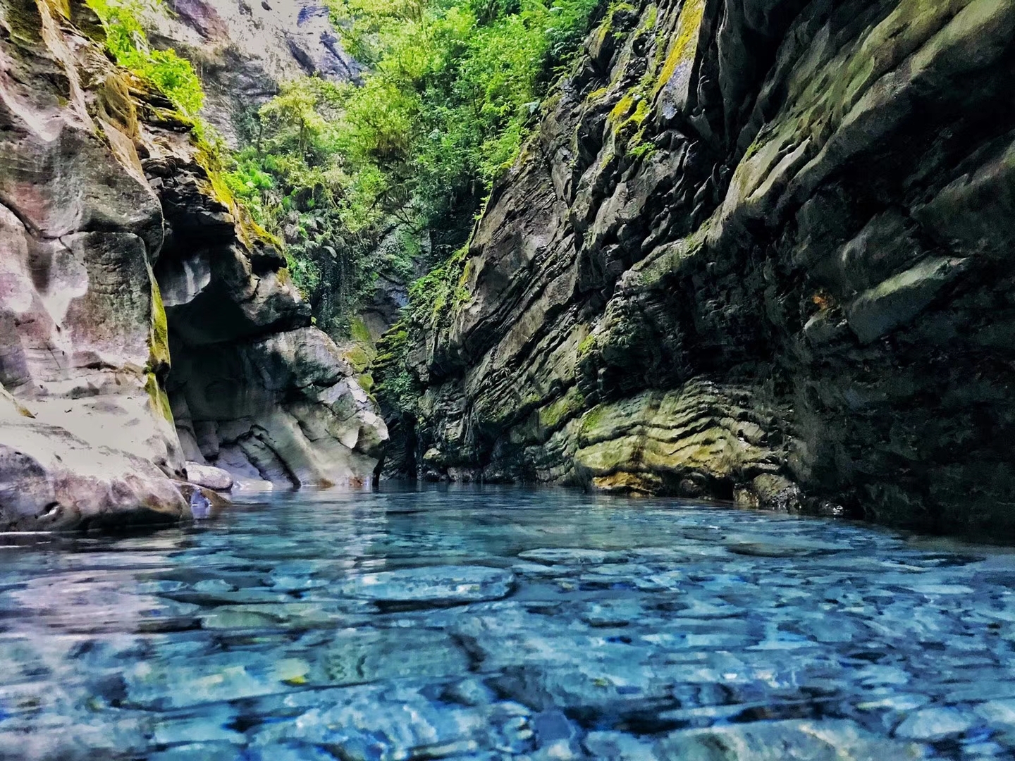 wKgBEFtX0YGAFhfJABKfpqxK5ik26.jpeg?imageView2%2F2%2Fw%2F600%2Fh%2F600%2Fq%2F90