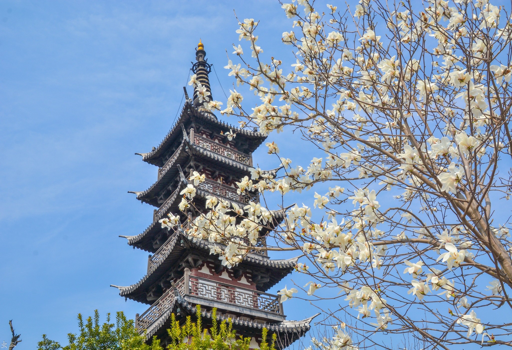 上海 松隐禅寺 华严塔 东林禅寺 金山嘴渔村 古塔巡礼系列之76-1