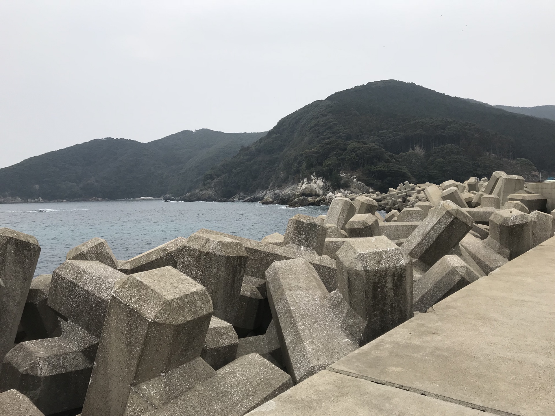 暖阳中的"对马岛"-日本9591,日本旅游攻略 - 马