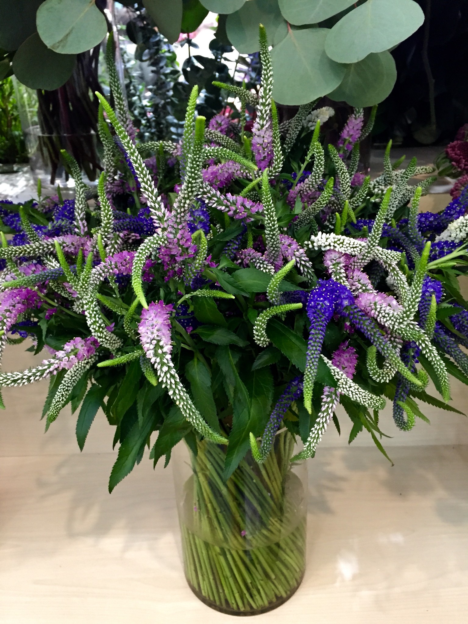 wKgBEFr5SgSAFtl1AAyxQ6mclE406.jpeg?imageView2%2F2%2Fw%2F600%2Fh%2F600%2Fq%2F90