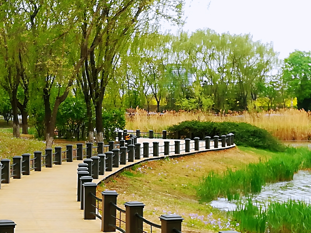 将府公园游记,北京自助游攻略 - 马蜂窝