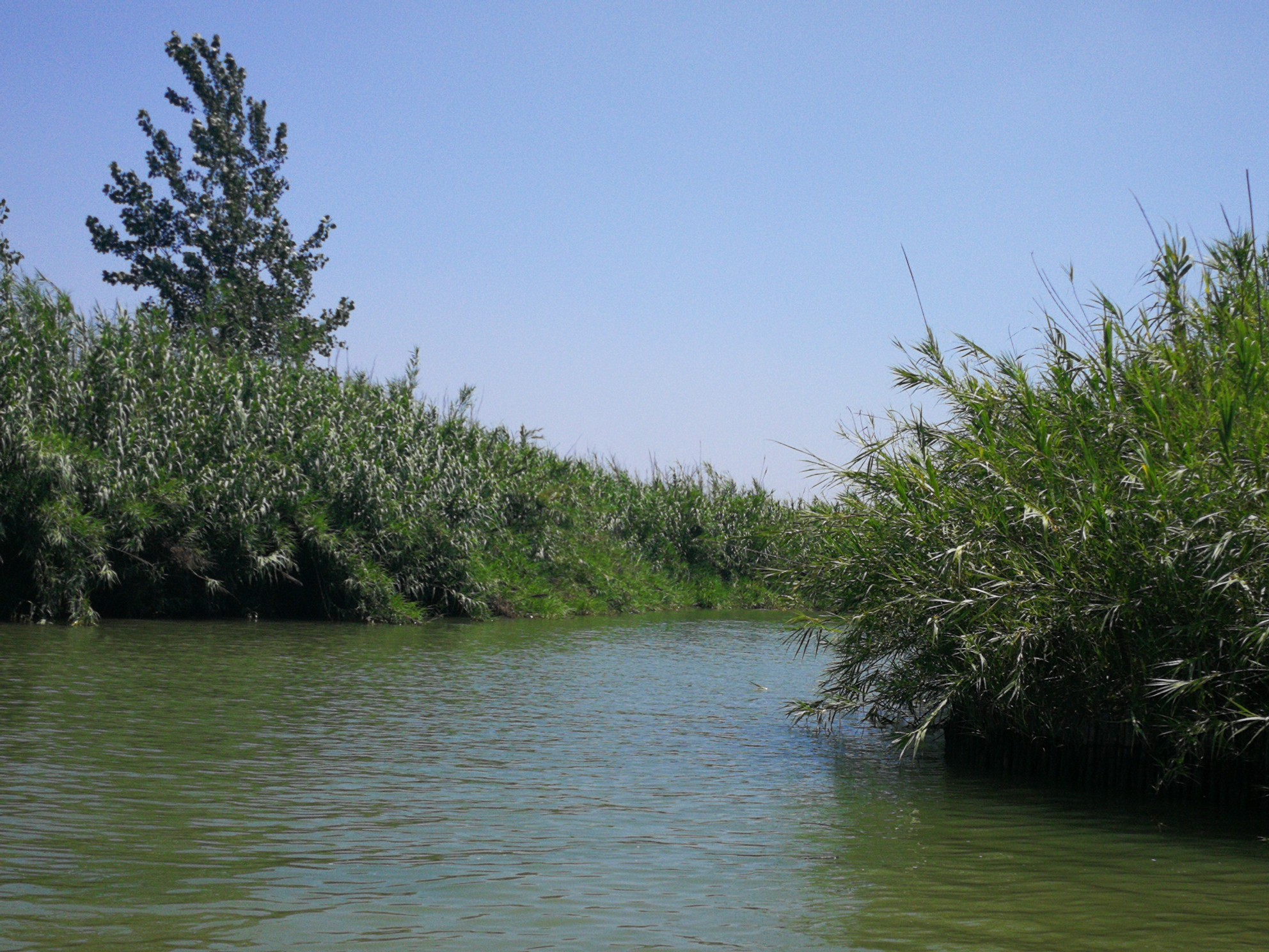 江苏洪泽湖湿地公园一游