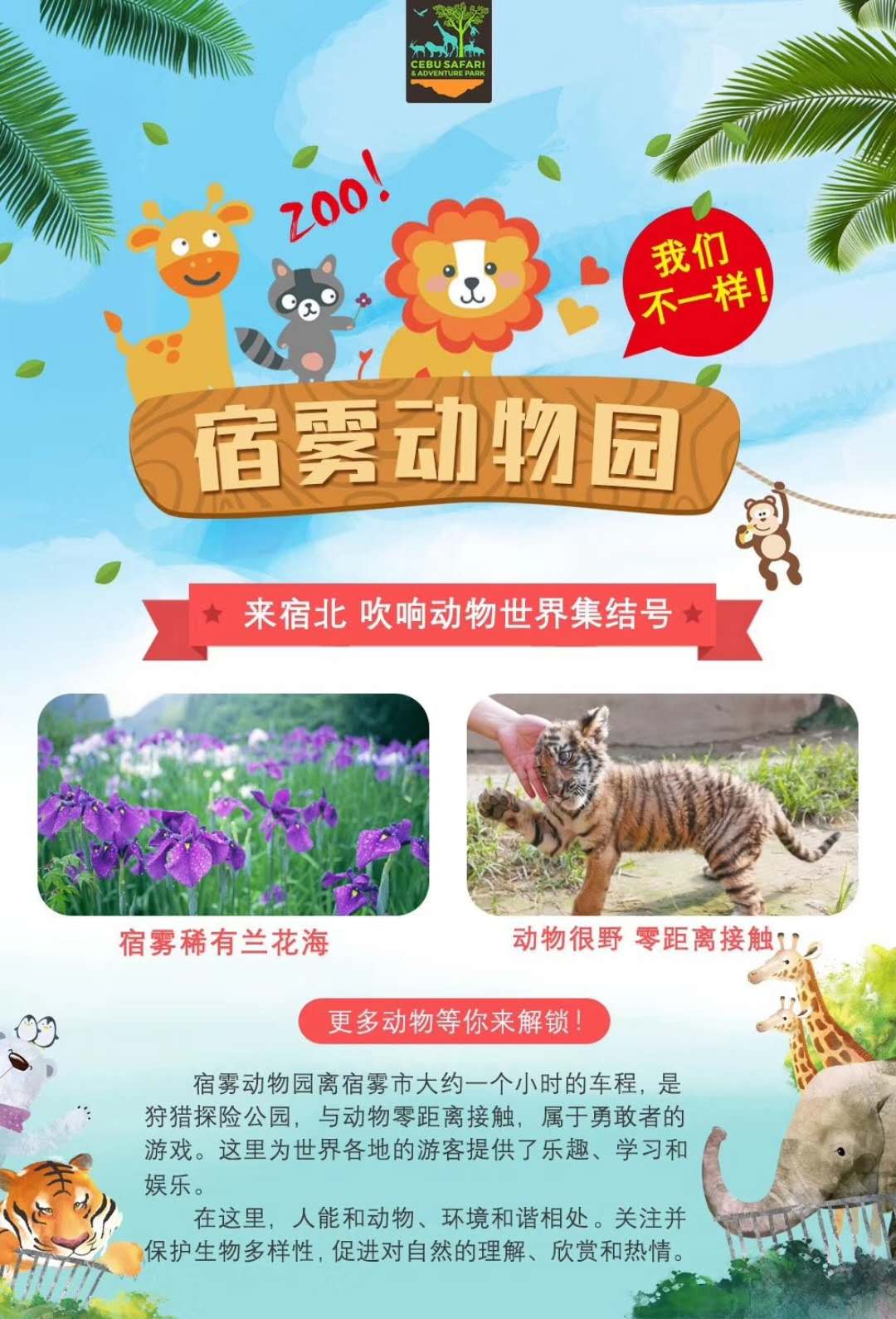 暑期北京直飞往返菲律宾宿务\/宿雾4晚6天半自