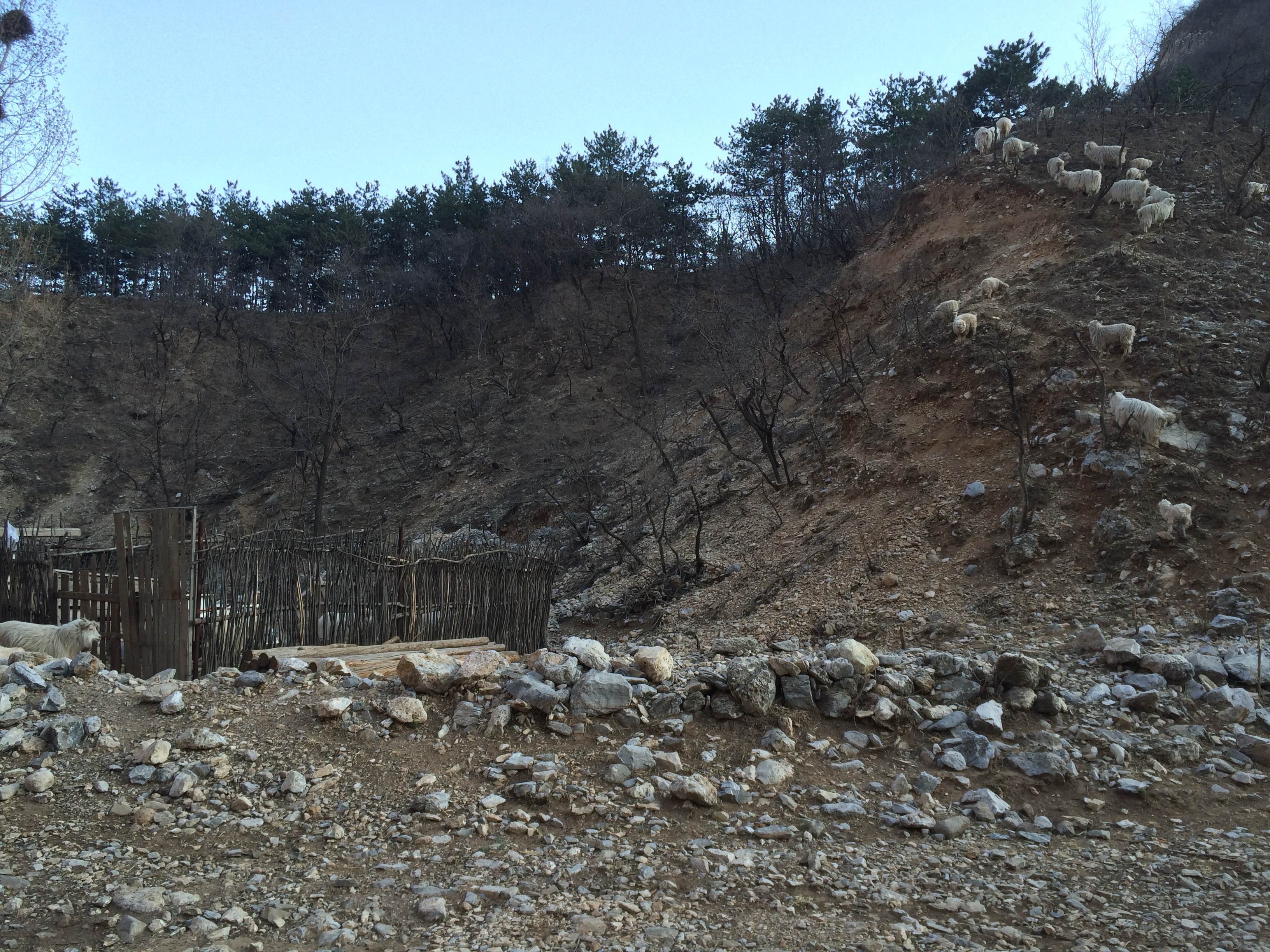 滴水岩村人口_滴水观音图片(2)