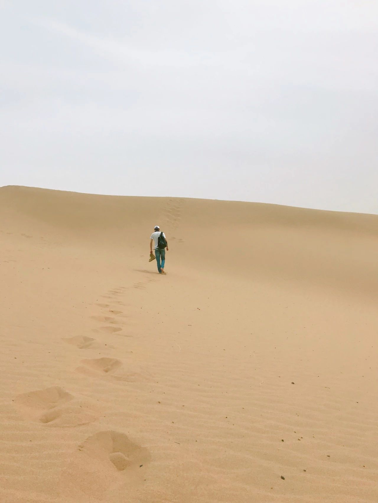 沙漠里的一位孤独行者